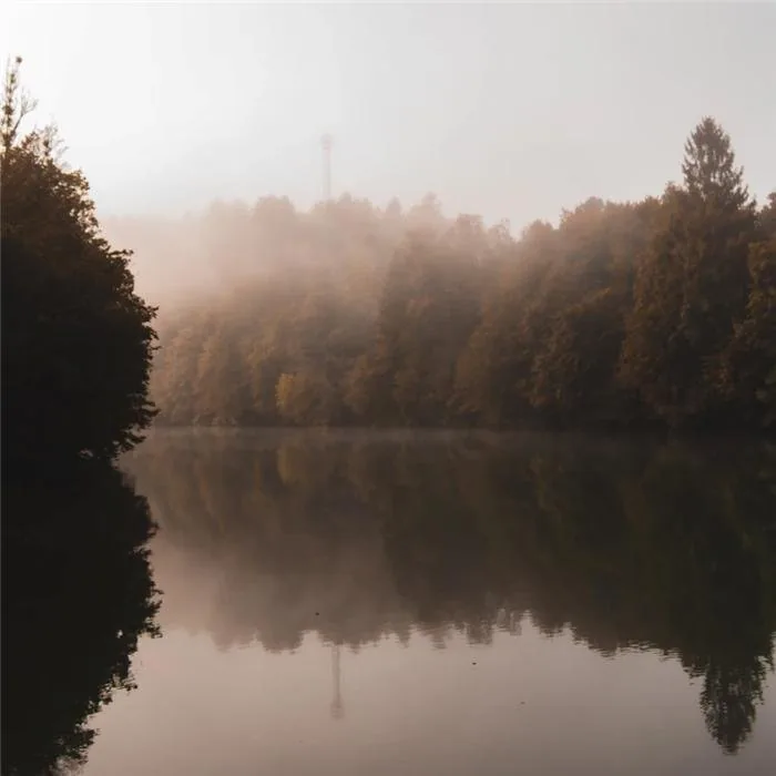 Soft morning mist rising over a still lake