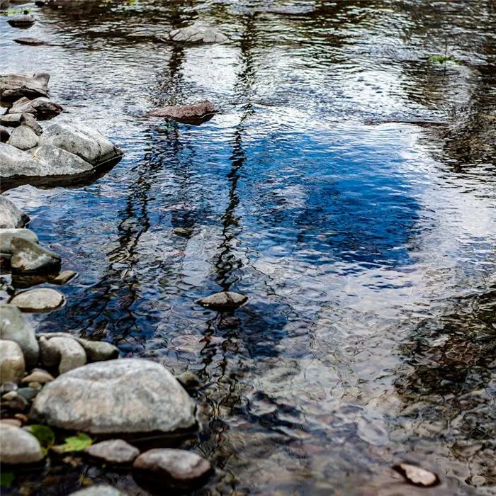 Smooth river stones catching soft light