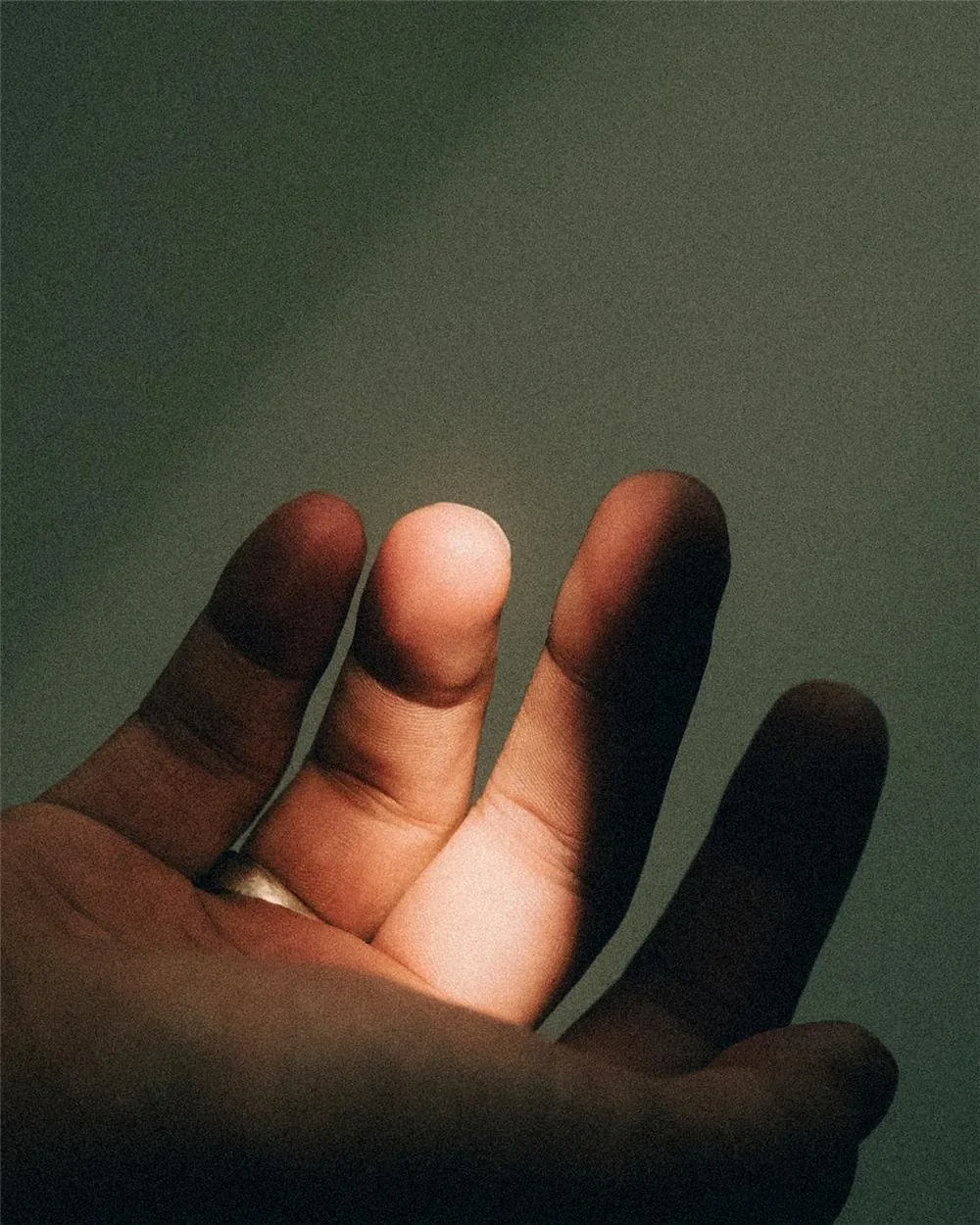 A hand resting in soft, warm light